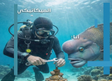 العلاج النفسي: لماذا نُسلم مفاتيح سياراتنا بسهولة، ونُخفي مفاتيح أنفسنا؟